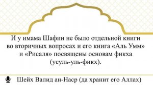 287) Окончательное слово касательно 4-х имамов и о последствиях религиозного фанатазима. Шейх Уалид