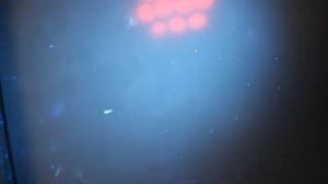 Источник экспертного света SVX-К365. Выявление следов рук.