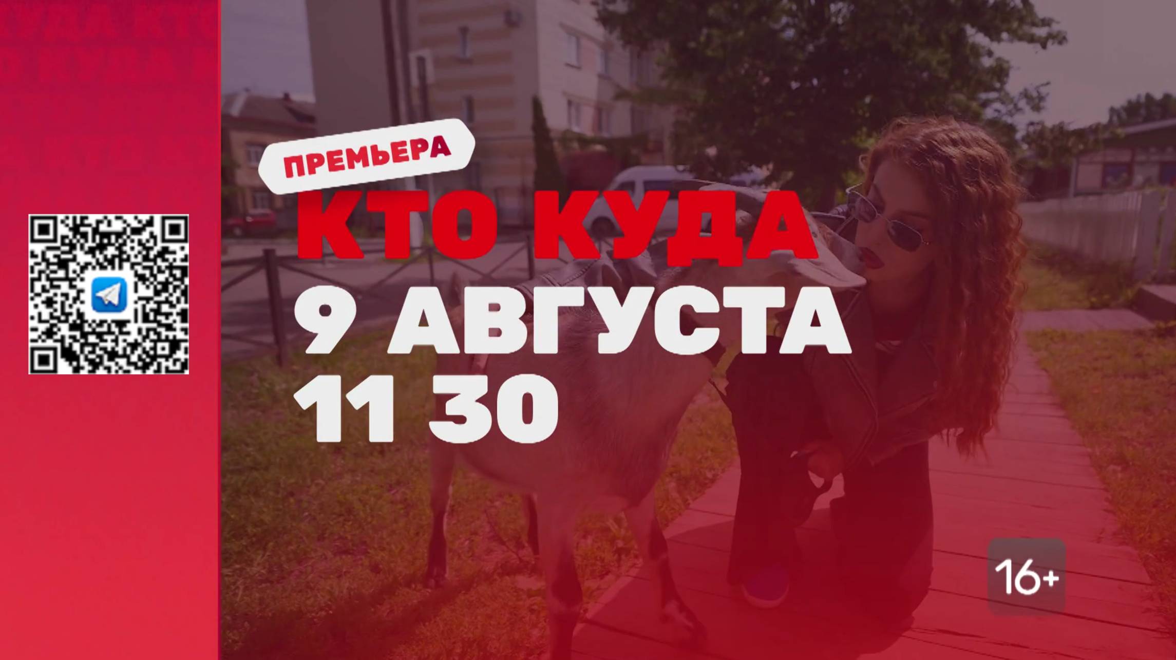 Масштабное трэвел-шоу «Кто куда»｜Премьера 9 августа смотреть онлайн