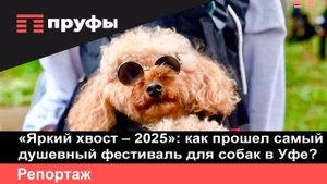 «Яркий хвост – 2025»: как прошел самый душевный фестиваль для собак в Уфе?
