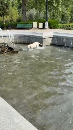 VID_20250801_161626_837.mp4.mov
