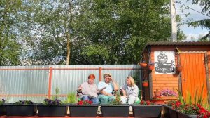 СЛУЖБА ПОДДЕРЖКИ ГАВРИШ. ПЕТУНИЯ.