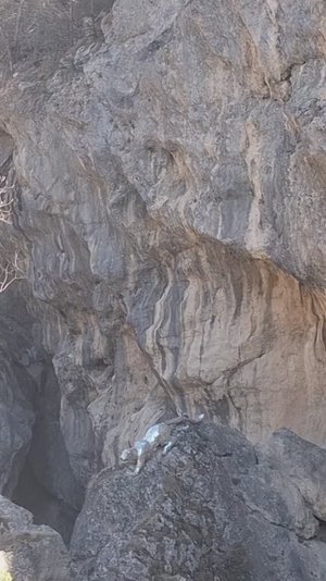 Один день в Северной Осетии. Видеонарезки нескольких интересных мест.