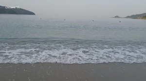 Море, чайки. Рисовая бухта, Андреевка