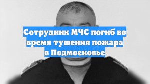 Сотрудник МЧС погиб во время тушения пожара в Подмосковье