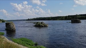 Земельный участок в д.Раздолье Псковская область