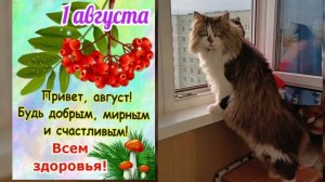 С 1 августа! Лето продолжается! Музыка для души. Золотой саксофон.