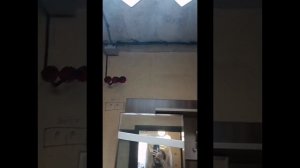 Новая черновая электропроводка в квартире 41кв/м.