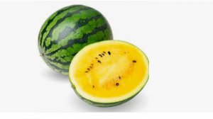 желтый арбуз, арбуз, экзотические фрукты, арбуз пятерочка, global village,