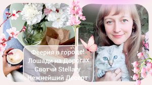 Феерия в городе! Ярмарка, Лошади на Дорогах, Свотчи Stellary и Магнит+ Нежнейший Десерт с Желатином
