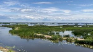 Видео WhatsApp 2025-07-01 в 10.05.04_10f885f4