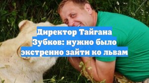 Директор Тайгана Зубков: нужно было экстренно зайти ко львам