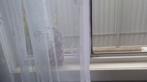 Дела пятницы))