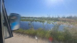 Прогулка 30 июля