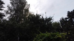 Наш садик и соседский дом.