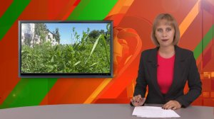 Биектау ТВ Выпуск от 01 08 2025