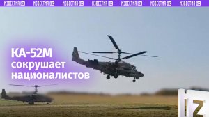 «Аллигатор» сокрушил боевиков ВСУ, прятавшихся в укреплениях