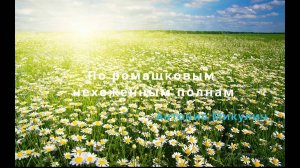 По ромашковым нехоженным полянам (с Сашей)