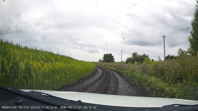 по чернозему
