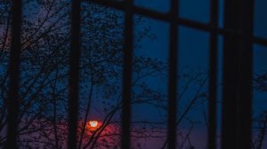 856338-uhd_3240_2160_30fps