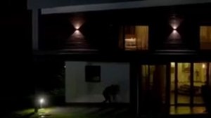 Девятая планета 2025 трейлер