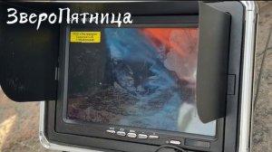 Операция по вызволению котика, застрявшего в гранитной набережной