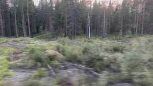 Оленегорск. Станция Оленья. уезжаю на юг, но серев оставляю в сердце.