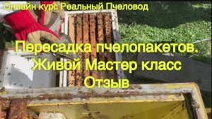 Пересадка пчелопакетов. Живой мастер класс. Практикум для пчеловодов.