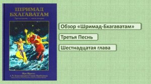 Обзор ШБ 3.16