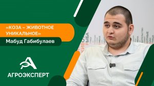 Зачем молодой человек из Дагестана взялся разводить зааненских коз