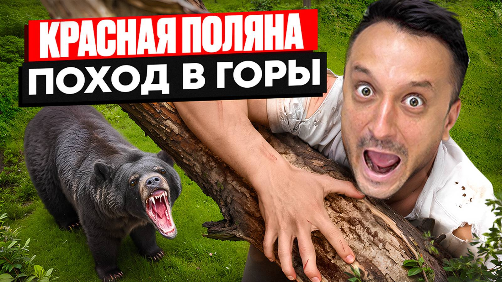 Чем заняться и куда сходить в Красной Поляне? смотреть онлайн