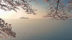 ЗАСНИ, ДАЖЕ ЕСЛИ НЕ МОЖЕШЬ | кайфомедитации для избранных