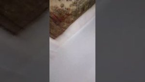 трансляция 2