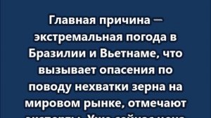 В России кофе вновь может подорожать сразу на 20–40%.