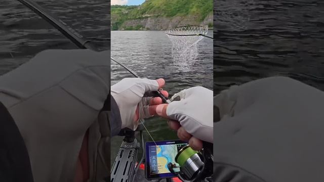 Метрова щука на Дністрі #bereg #beregfishing #дністер #рибалка #fishing