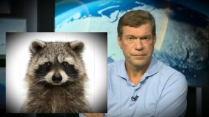 Царёв никак не угомонится...