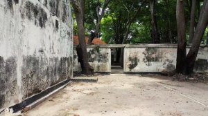 2070037-uhd_3840_2160_30fps