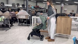 Travel-система от Joie