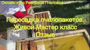 Мастер класс по пересадке пчелопакетов. Практикум для пчеловодов