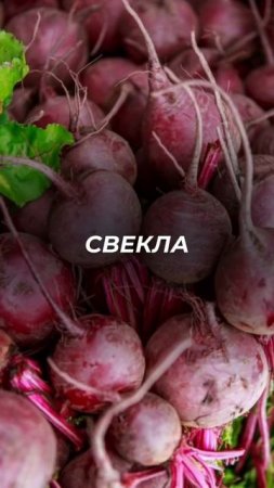 ТОП-5 продуктов, которые борются со старением на клеточном уровне и продлевают вам жизнь