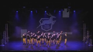 VOLGA CHAMP 2019 XII | BEST SHOW PRO | FREEDOM MIND TEAM