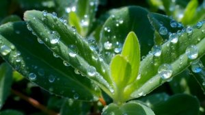 Аффирмации утренние