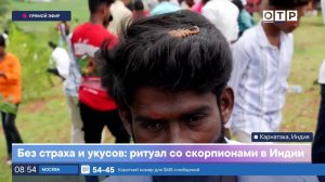 Без страха и укусов: ритуал со скорпионами в Индии