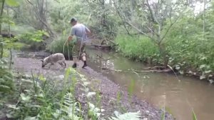 Прогуляли Жужу на Васильев ключ.