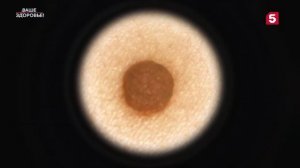 Ваше здоровье | №31