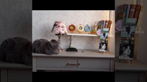 №70 Незабываемая, бешено красивая музыка Сергея Аверьянова и Дрифтвуд море Белое от Марины Панцхава