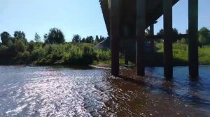 Много рыбы 😎