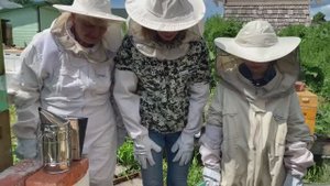 Экскурсии на пасеку. Боровск. Боровский мед!