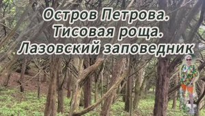 Экскурсия в Тисовую рощу. Остров Петрова. Лазовский заповедник. Полтора часа экскурсии за 8 минут.