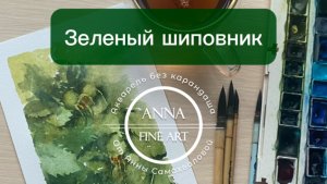 Зеленый шиповник. Разнообразие оттенков